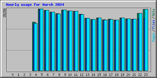 Hourly usage for March 2024