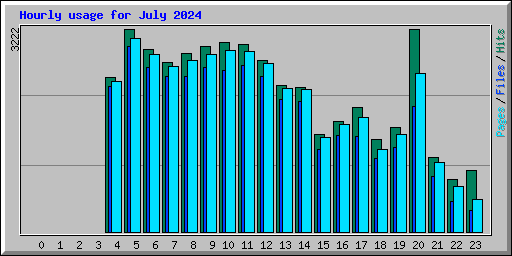 Hourly usage for July 2024