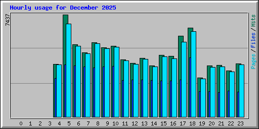 Hourly usage for December 2025