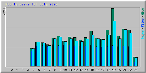 Hourly usage for July 2026