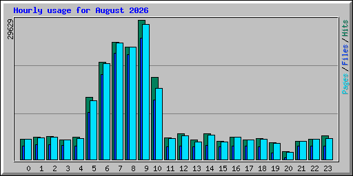 Hourly usage for August 2026